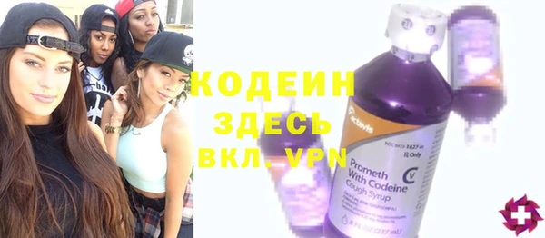 хмурый Алзамай