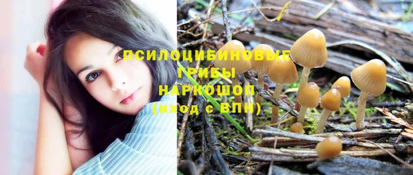 каннабис Арсеньев