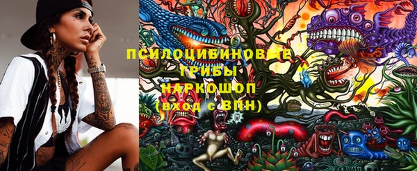 каннабис Арсеньев